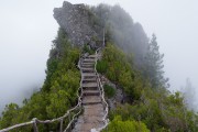 世界举重康复在线课堂新增复健并发症处理专题上线，世界举重冠军视频